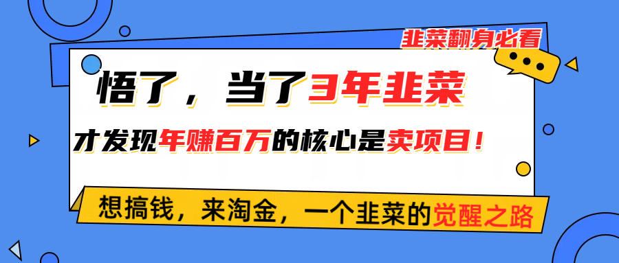 （10759期）悟了，当了3年韭菜，才发现网赚圈年赚100万的核心是卖项目，含泪分享！