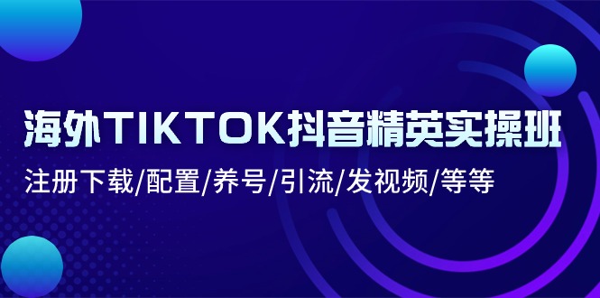 海外TIKTOK抖音精英实操班：注册下载/配置/养号/引流/发视频/等等