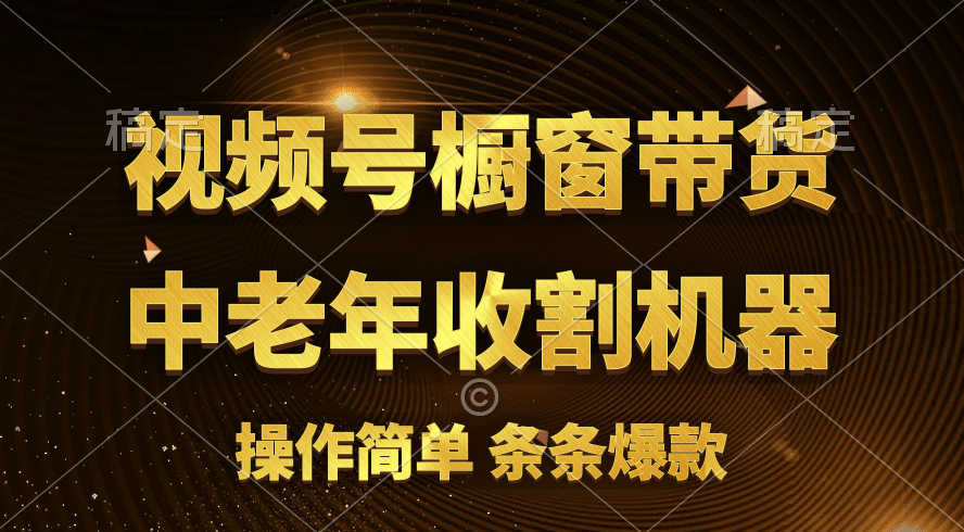 （11009期）视频号最火爆赛道，橱窗带货，流量分成计划，条…