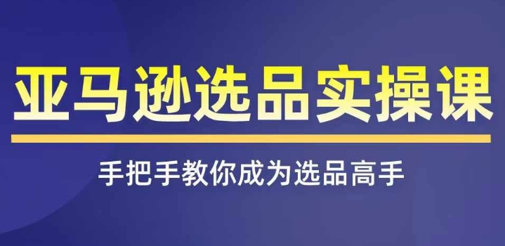 亚马逊选品实操课程，快速掌握亚马逊选品的技巧，覆盖亚马逊选品所有渠道