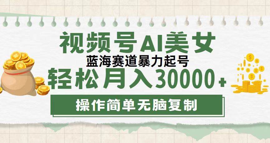 （12087期）视频号AI美女跳舞，轻松月入30000+，蓝海赛道，流量池巨大，起号猛，无…