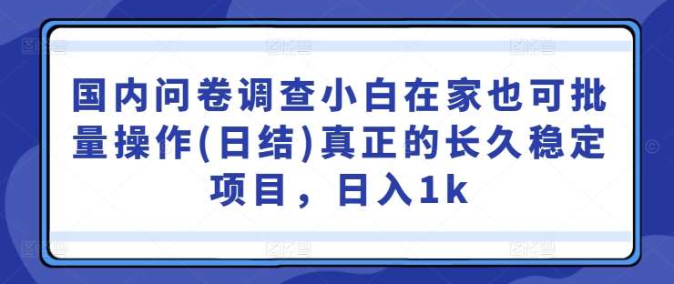 国内问卷调查小白在家也可批量操作(日结)真正的长久稳定项目，日入1k【揭秘】