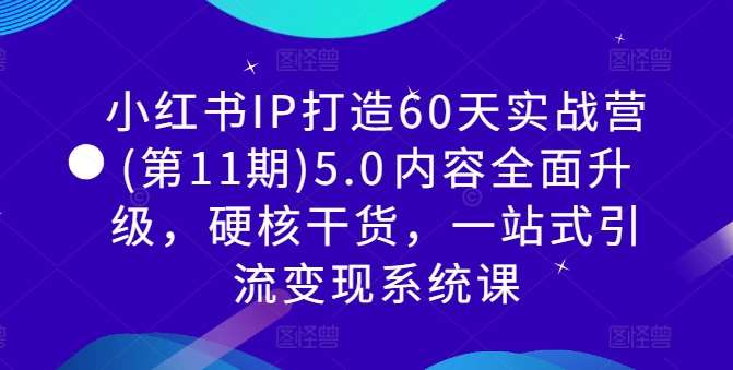 小红书IP打造60天实战营(第11期)5.0​内容全面升级，硬核干货，一站式引流变现系统课