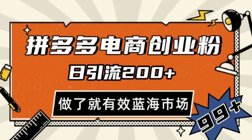 拼多多引流电商创业粉，日引200+，可矩阵放大，做了就有效